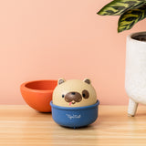 ROCKING ROLLERS - CHIEN TIGER TRIBE