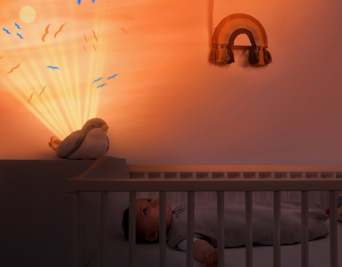 Veilleuse projecteur Shally le moineau - Projecteur veilleuse LED