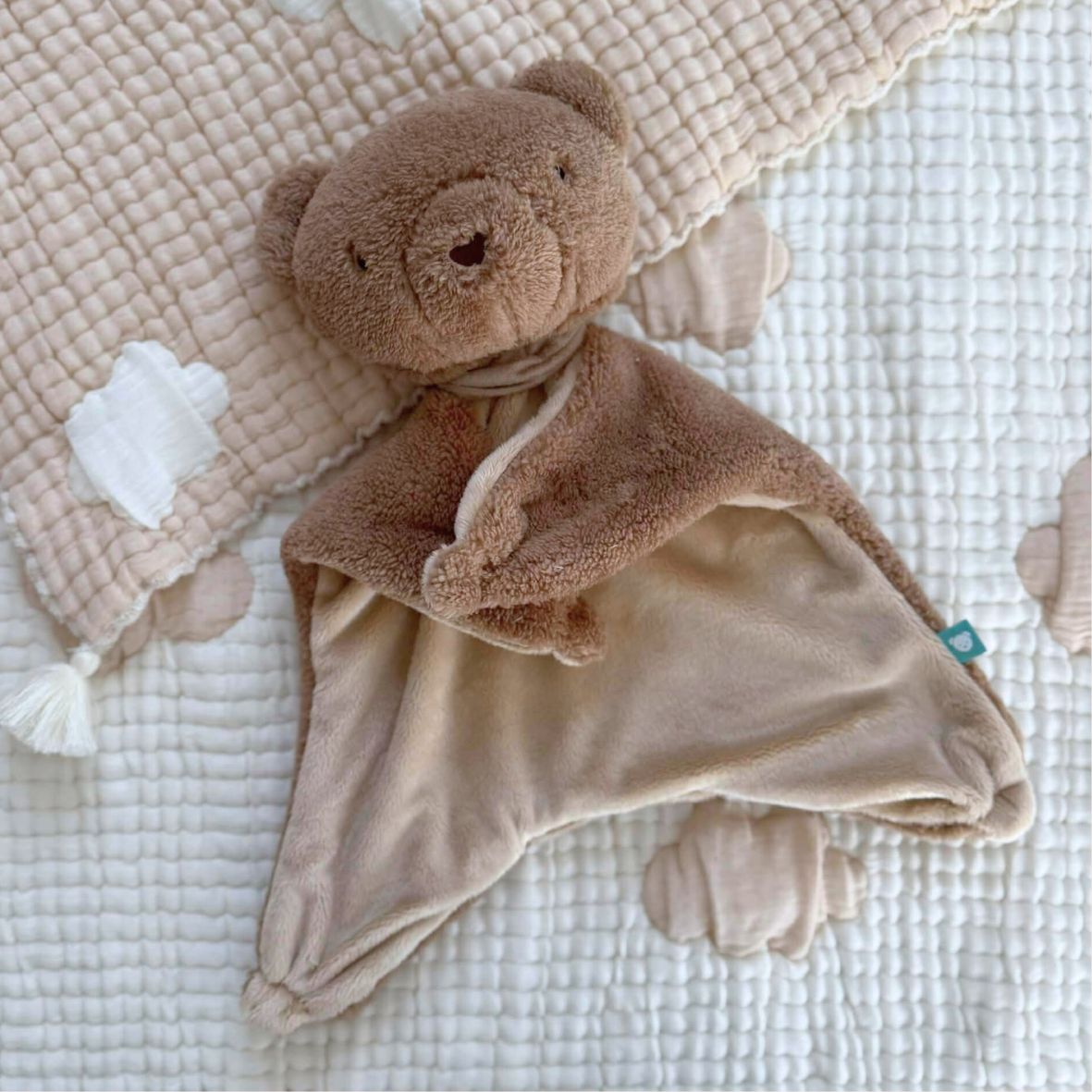 MyHummy Ourson plat Marron 5en1 veilleuse MUHYMMY