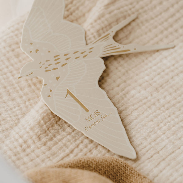 Cartes étapes Birds