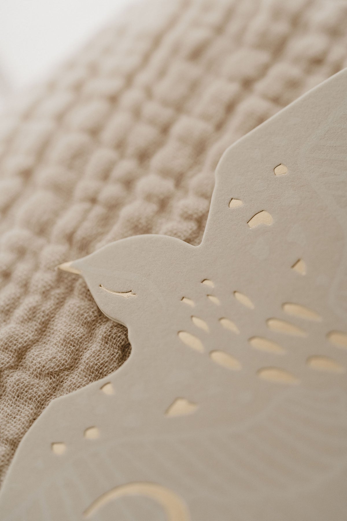 Cartes étapes Birds