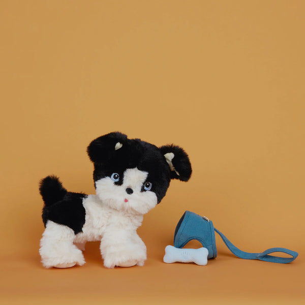 Chien Dinkum Dog - Lucky