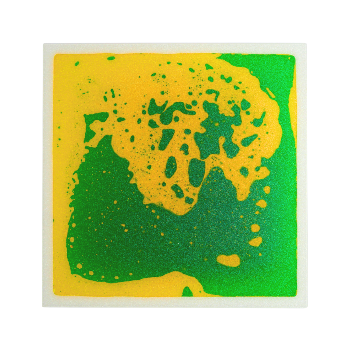 Dalles Sensorielles Liquides x4 – Un univers de couleurs à explorer ! 🌈 BO JUNGLE