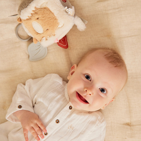 Cube multi-activités - Fluffy, Orso & Lily