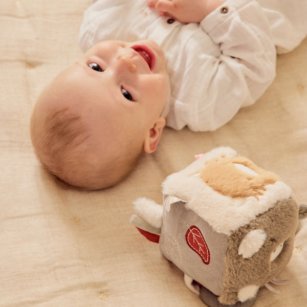 Cube multi-activités - Fluffy, Orso & Lily