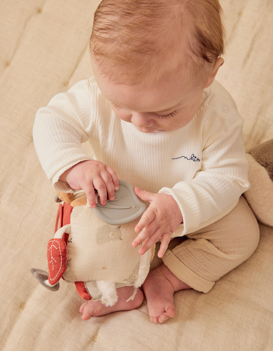 Cube multi-activités - Fluffy, Orso & Lily