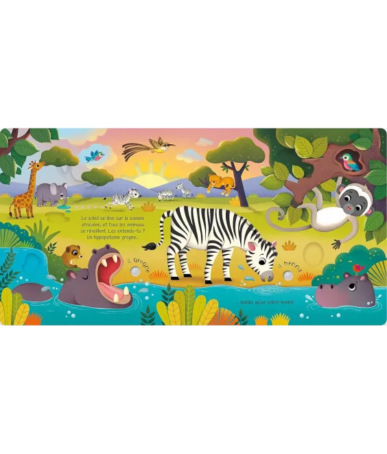 Les Animaux Sauvages – Livre Sonore à Toucher dès 1 an USBORNE