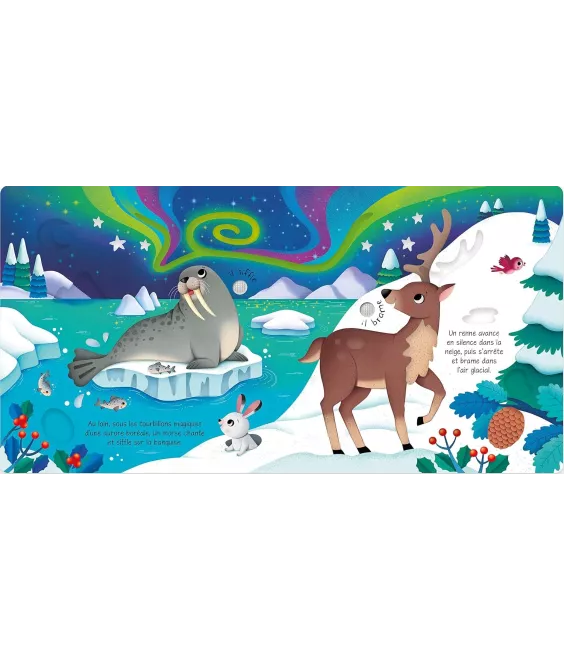 Ravensburger -PLAY + - Mon cube d'activit¿s sonore les animaux sauvages - Des 6 mois - version an¿aise - 34009 | Rakuten Ravensburger -PLAY + - Mon cube d'activit¿s sonore les animaux sauvages - Des 6 mois - version an¿aise - 34009 | Rakuten