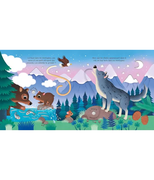 Les Animaux Sauvages – Livre Sonore à Toucher dès 1 an USBORNE