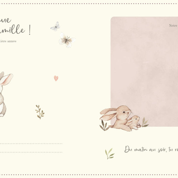 Mon Livre de Bébé – Ma Première Année | Souvenirs de Naissance - Livre 1 2 3 SOLEIL