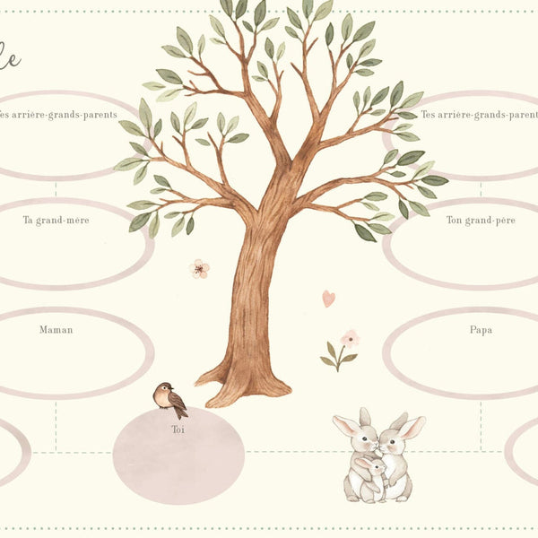 Mon Livre de Bébé – Ma Première Année | Souvenirs de Naissance - Livre 1 2 3 SOLEIL