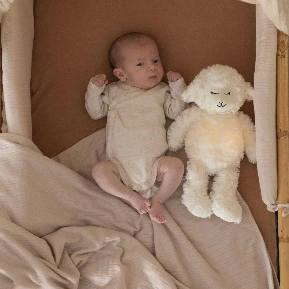 Lot de 2 Bodies Bébé – Épis de Blé