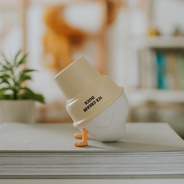 Veilleuse rechargeable Glace ice duck Mary's