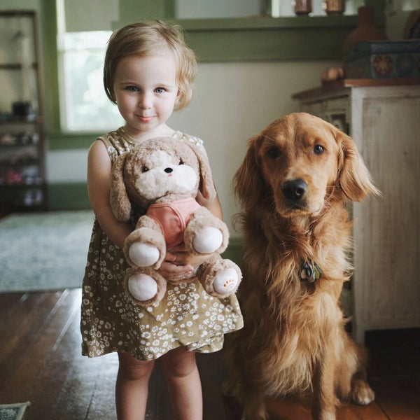 Chien Dinkum Dog - Honey