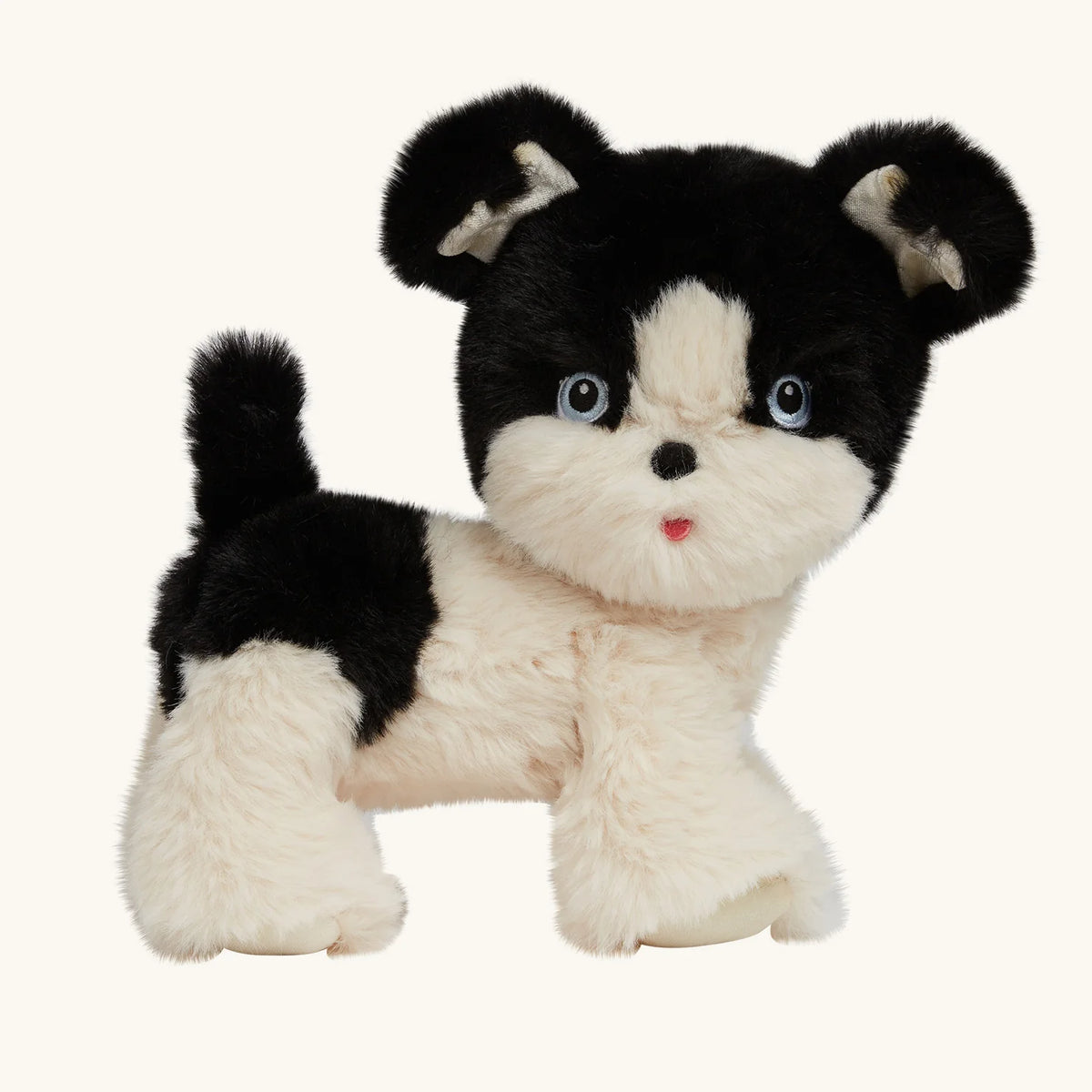 Chien Dinkum Dog - Lucky