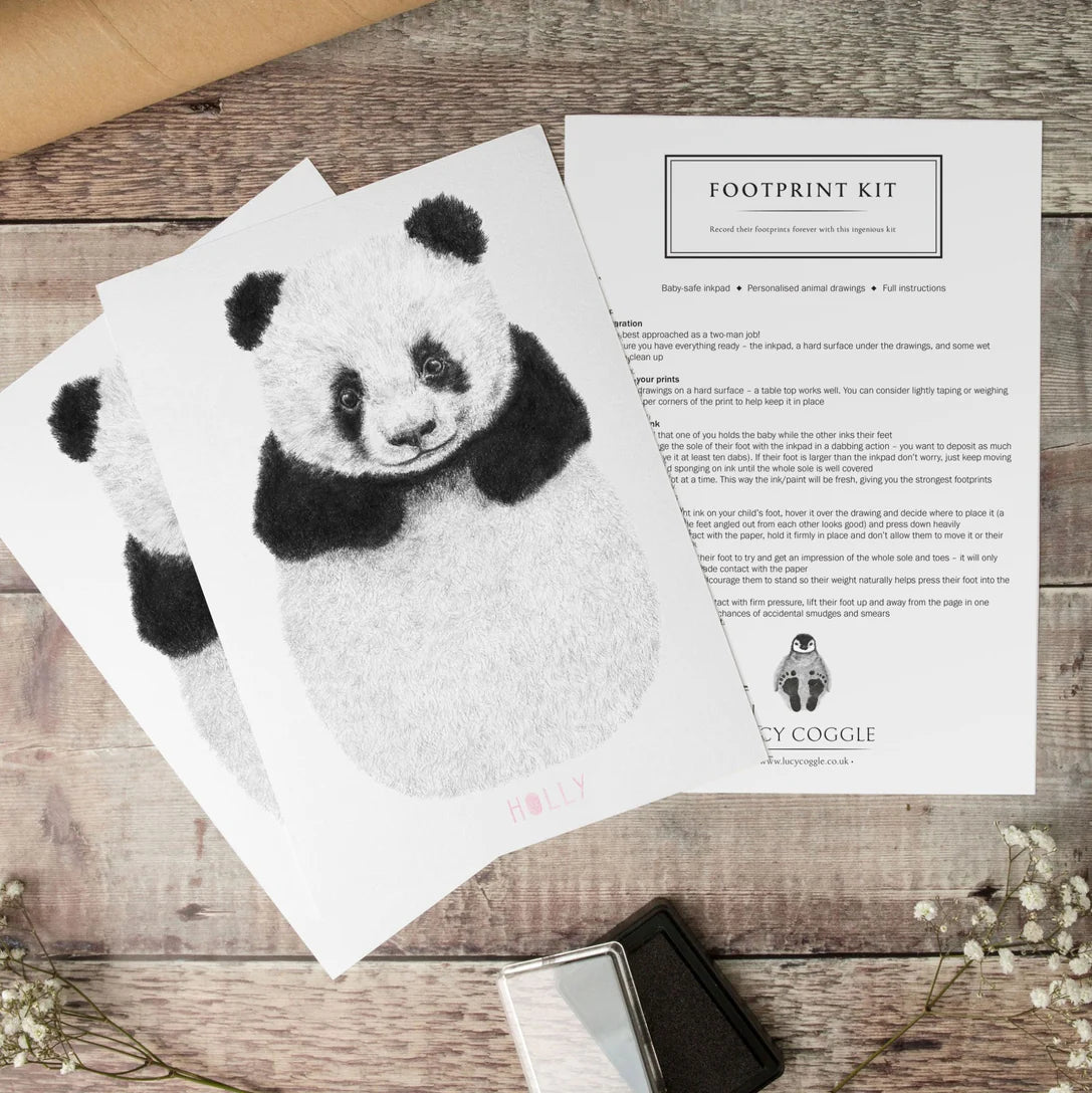 Kit Empreinte bébé panda