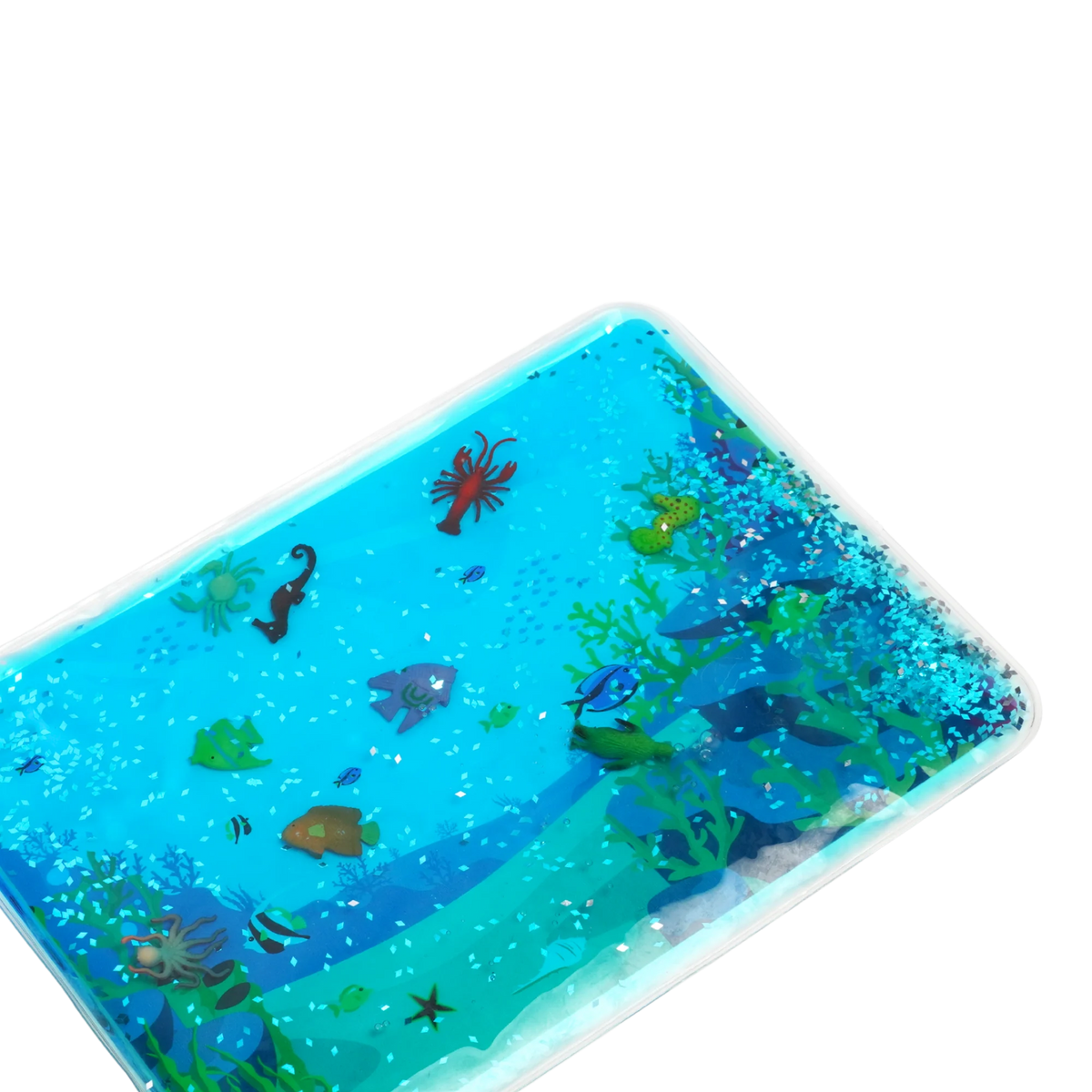Tablette Sensorielle Liquide Explor'Océan – Une aventure sous-marine fascinante ! 🐠🌊 BO JUNGLE