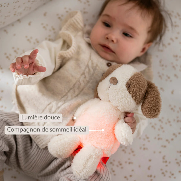 veilleuse bébé, veilleuse peluche, veilleuse chien, peluche lumineuse, lampe de nuit bébé, veilleuse rechargeable, Nattou, cadeau naissance, Petit Coeur Salé