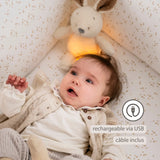 Veilleuse peluche lapin Teddy beige, douce et rassurante. Lumière à deux intensités, rechargeable USB et housse lavable. Parfaite pour apaiser bébé la nuit.