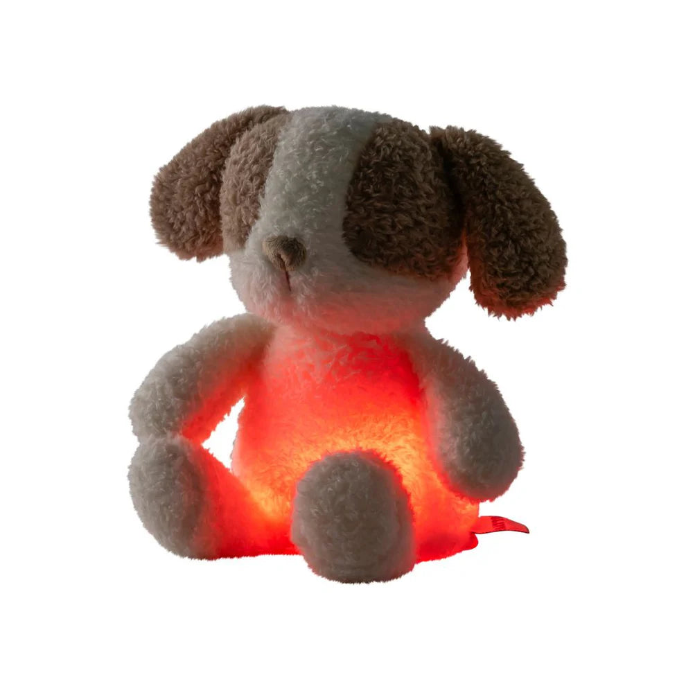 Veilleuse bébé chien Teddy peluche douce vanille avec lumière apaisante pour dormir