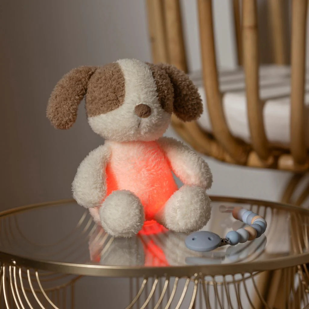 Veilleuse bébé chien Teddy peluche douce vanille avec lumière apaisante pour dormir